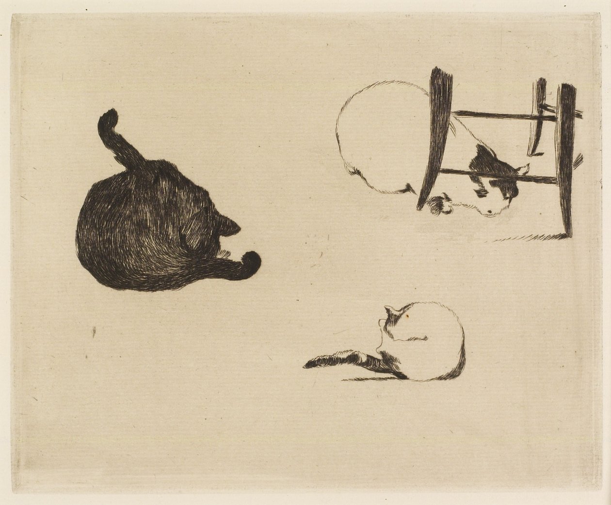Kattene, 1869 af Édouard Manet