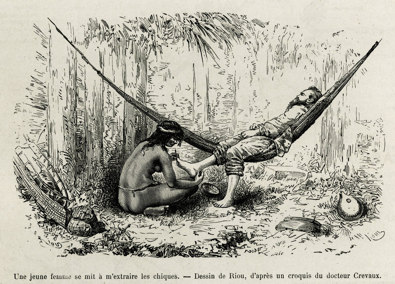En ung Roucouyan-kvinde udtrækker de shies, der har strålet opdagelsesrejsendes fødder i løbet af natten. Gravering af Riou, for at illustrere historien om Cayenne aux Andes, af Jules Crevaux, læge for den franske flåde, i 1878-1879, offentliggjort i Tour  af Edouard Riou