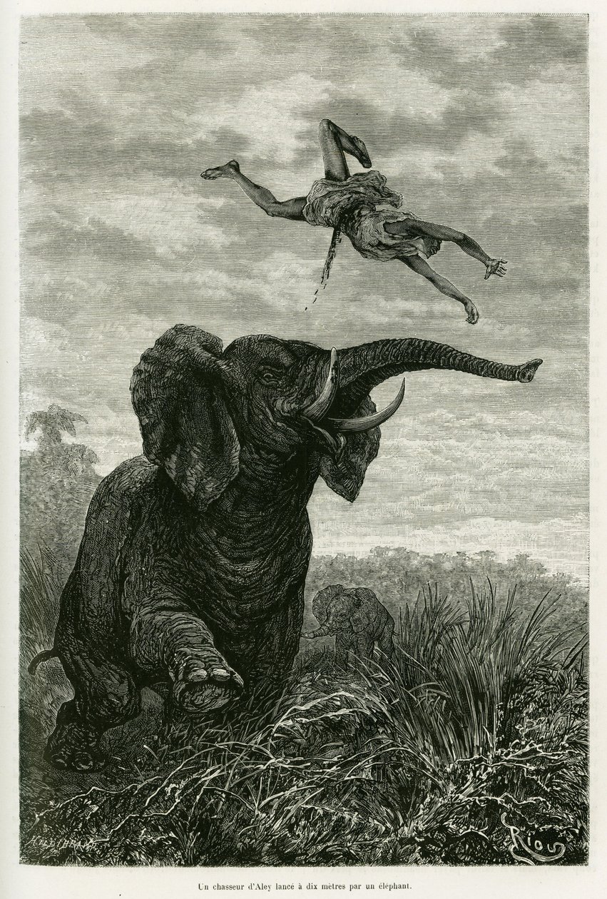 Aleys jæger kaster en kilometer fra en elefant. Gravering af Riou til illustration af historien Les lacs de l