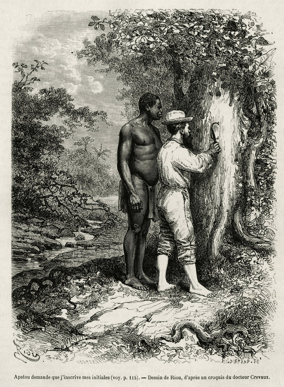 Apatou, guide og rejseledsager beder den opdagelsesrejsende forfatter om at indgravere sine initialer i barken på et træ. Gravering af Riou, for at illustrere historien om Cayenne aux Andes, af Jules Crevaux, læge for den franske flåde, i 1878-1879, offent af Edouard Riou