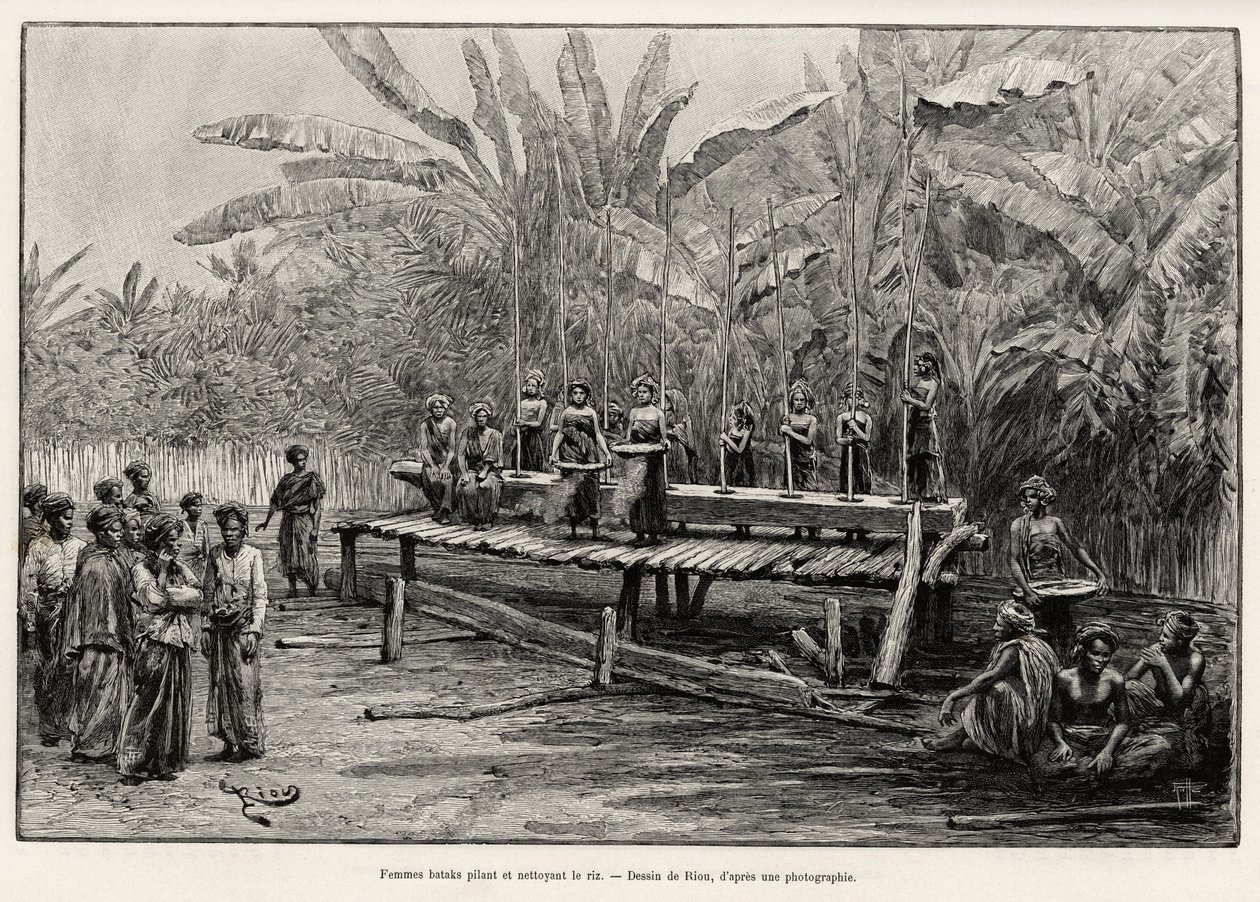 Batak-kvinder, etnisk gruppe i det nordlige Sumatra, banker og renser ris. Gravering af Riou for at illustrere historien "et år i Malaysia" af Jules Claine (1856-1939) af Edouard Riou