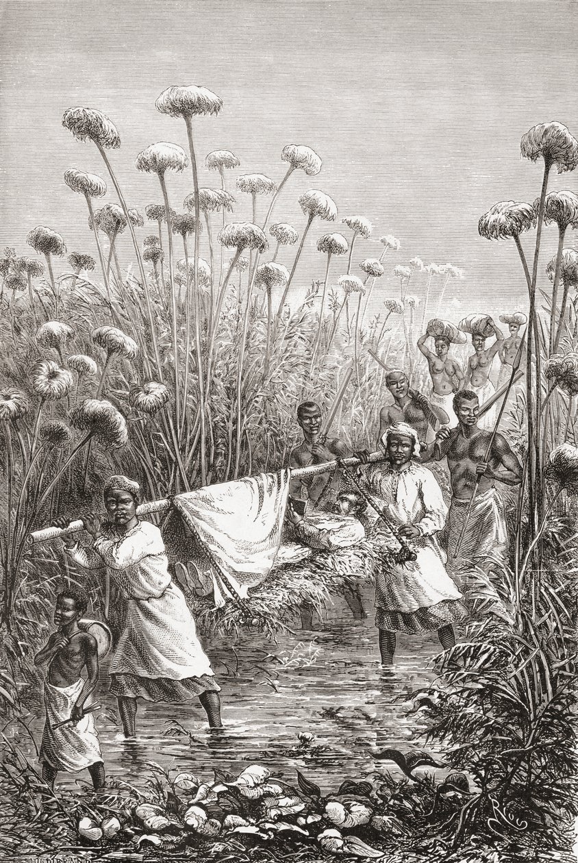 Dr. David Livingstone bliver båret de sidste par miles til landsbyen Tchitammbo, Afrika, kort før sin død, illustration fra "The World in the Hands", indgraveret af Henri Theophile Hildibrand af Edouard Riou