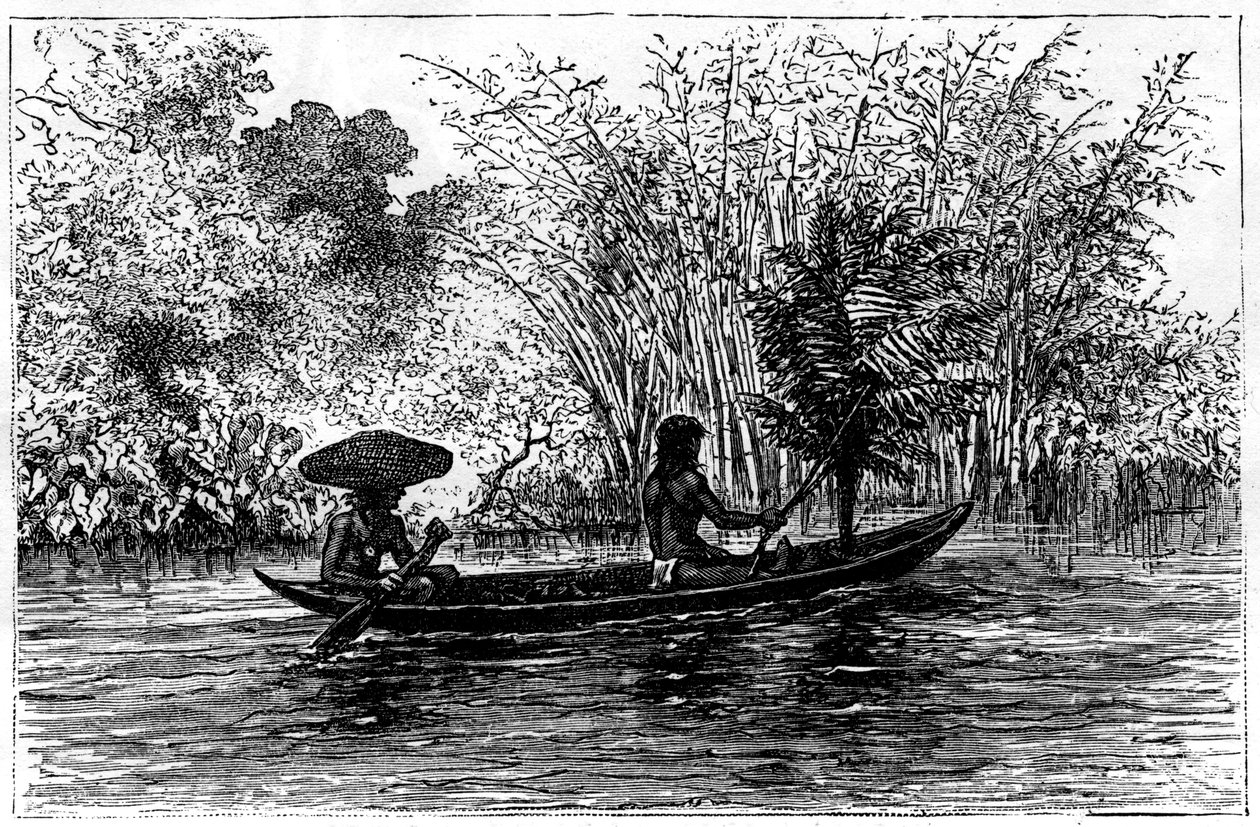 Udgravning i Essequibo-floden, Guyana, 1800-tallet af Edouard Riou
