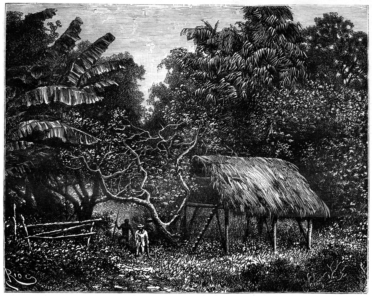 Guyana, Sydamerika, 1800-tallet af Edouard Riou