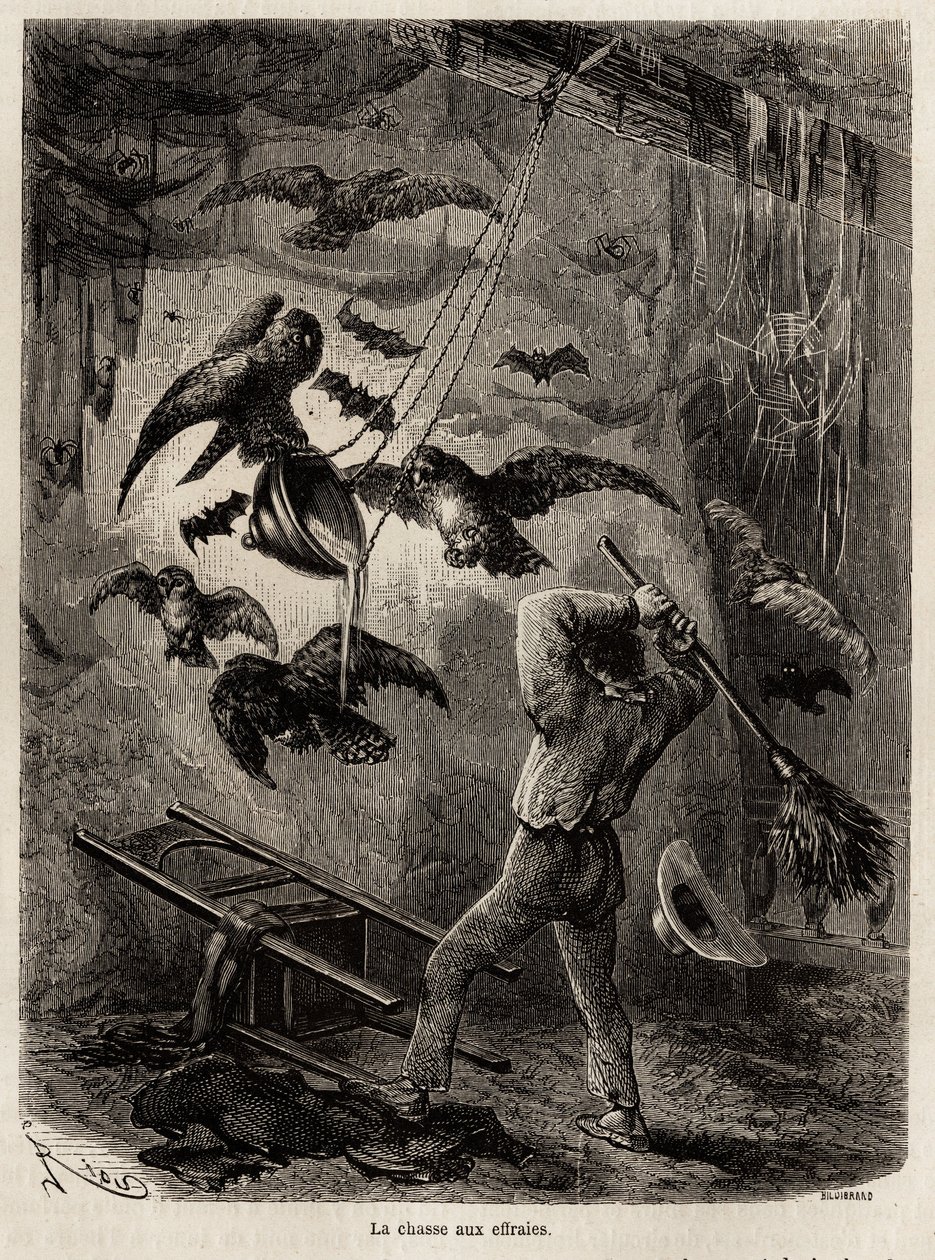Jagt på ugler, der er tilflugt i kirken Sarayacu (Peru), tegning af Riou, for at illustrere Paul Marcoys rejse fra Stillehavet til Atlanterhavet fra 1848 til 1860. Indgravering i "" Le tour du monde"", redigeret af Edouard Charton af Edouard Riou