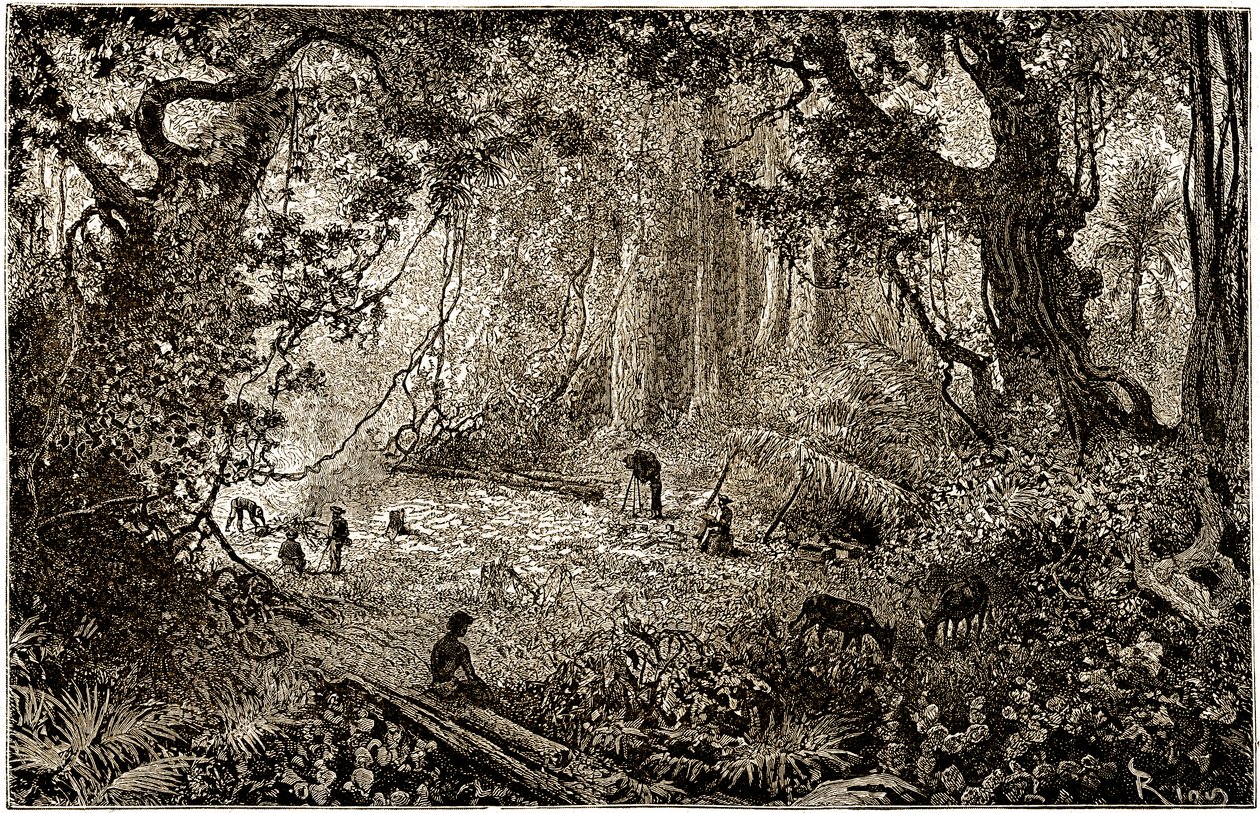 Installation af en opdagelsesrejsendes lejr i Guatemala (1882) af Edouard Riou