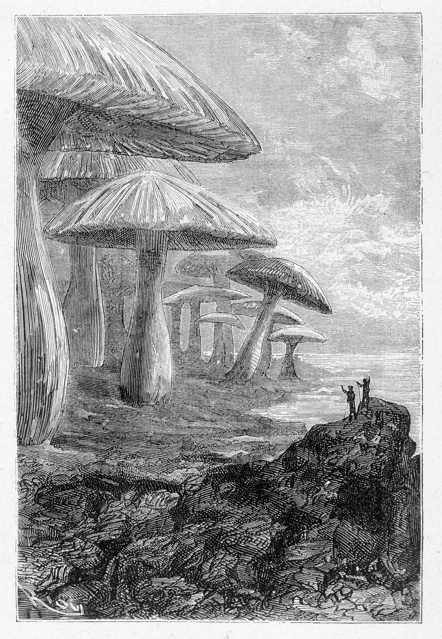 Det er bare en skov af svampe, siger han og tegner af Riou i "" Voyages Extraordinary"" af Jules Verne, red. Hetzel, n.d. 19. af Edouard Riou