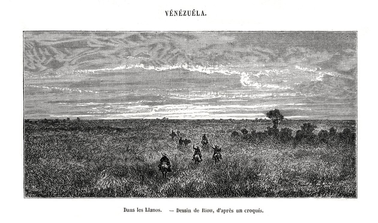 Los Llanos, Venezuela, 1800-tallet af Edouard Riou