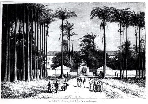 Place des Palmistes, Cayenne, Guyana af Edouard Riou