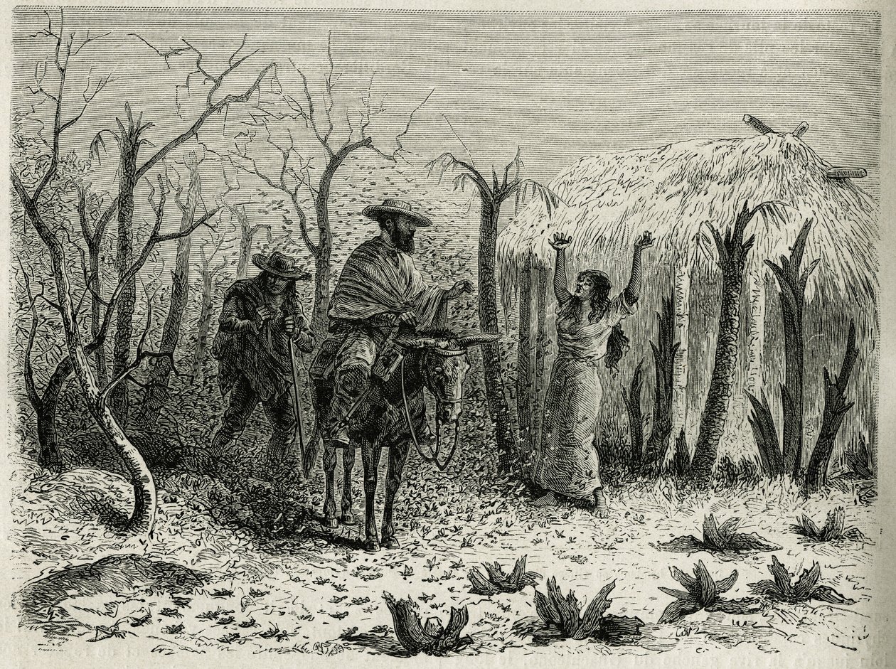 The Clouds of Grasshoppers of the Vallee du Upper Patia, med på sit muldyr rejsefortælleren, gravering af Riou, for at illustrere historien L