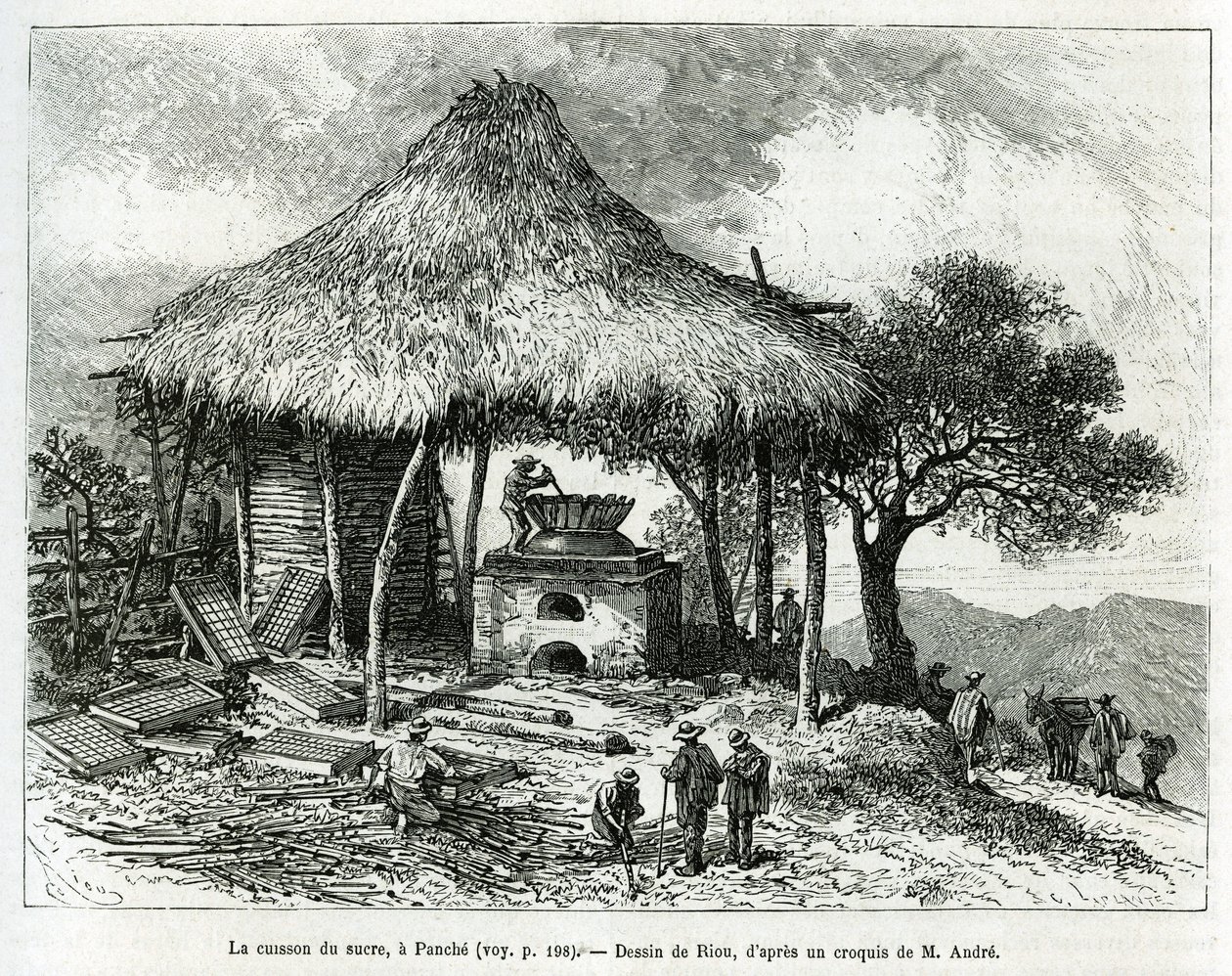 The Sugar Baking Oven, i Panche (Colombia), tegning af Riou, for at illustrere historien om Equinoxiale America (Colombia, Ecuador, Peru), i 1875-1876, af Ed. andre, rejsemissionsafgift fra den franske regering. Indgravering i Le tour du monde af Edouard Riou