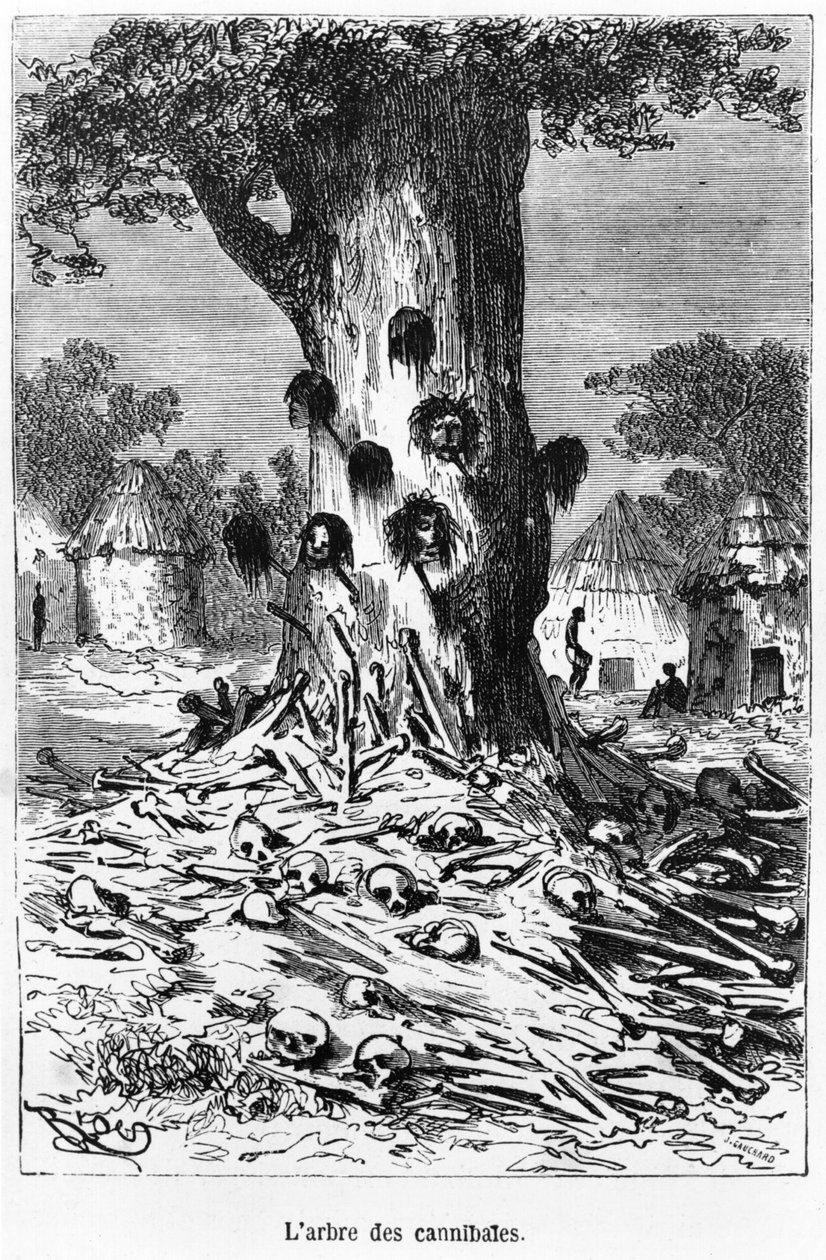 Kannibalernes træ, illustration fra 