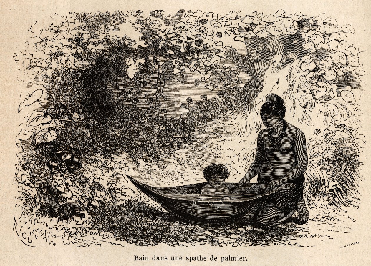 Barnets bad i et palmeblad. Tegning af Riou, for at illustrere rejsen fra Stillehavet til Atlanterhavet af Edouard Riou
