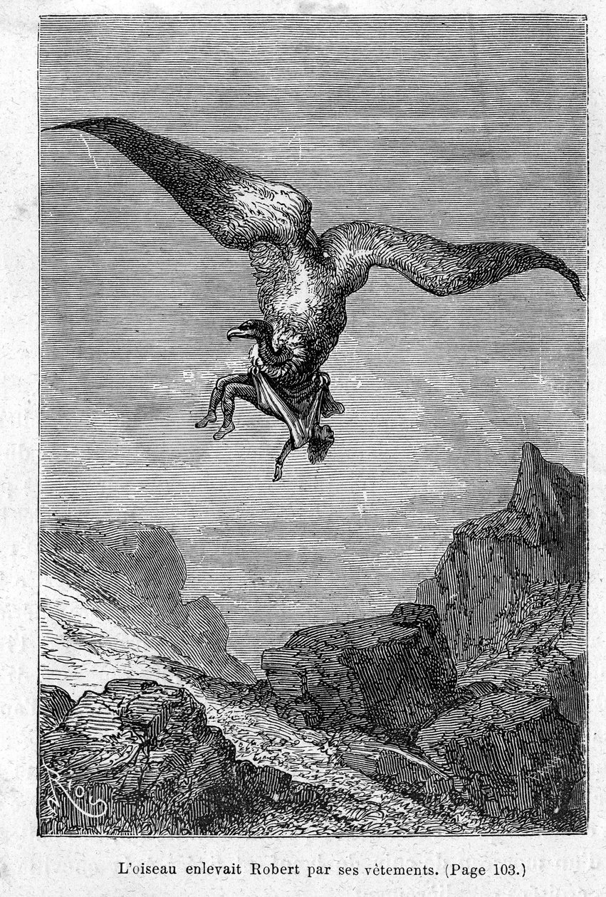 "The children of Captain Grant: The bird kidnapped Robert by his clothes" af Jules Verne, Edition Hetzel/Voyages Extraordinary 1868 af Edouard Riou
