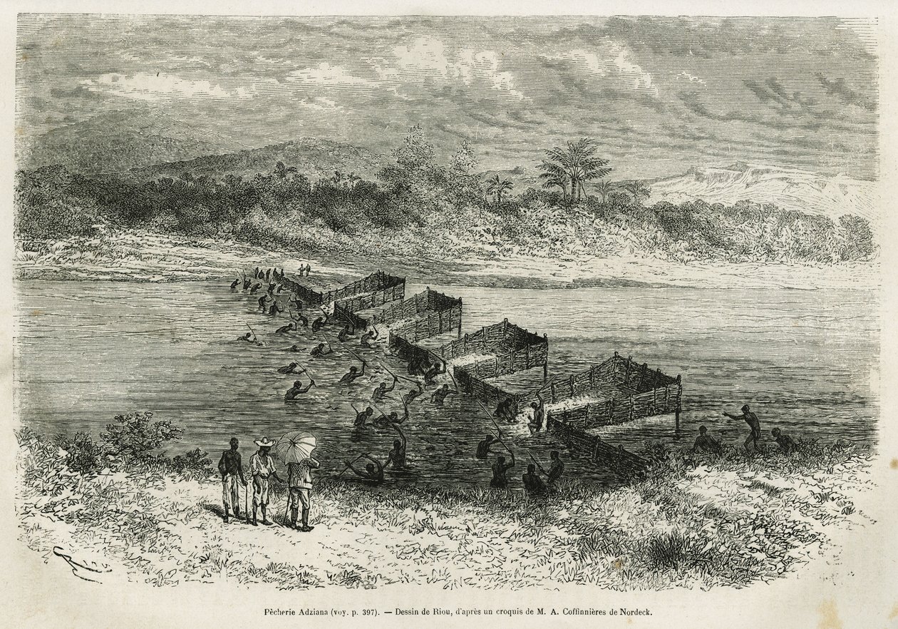 Fiskeindustrien ved floden Eboga, som fanger fiskene, fører gennem strømfaldene gennem sine bambusler, tegnet af Riou, for at illustrere historien om en tur til Gabon og floden Ogoue, i 1875-1877, af Alfred Marche. Indgravering i Le tour du monde af Edouard Riou