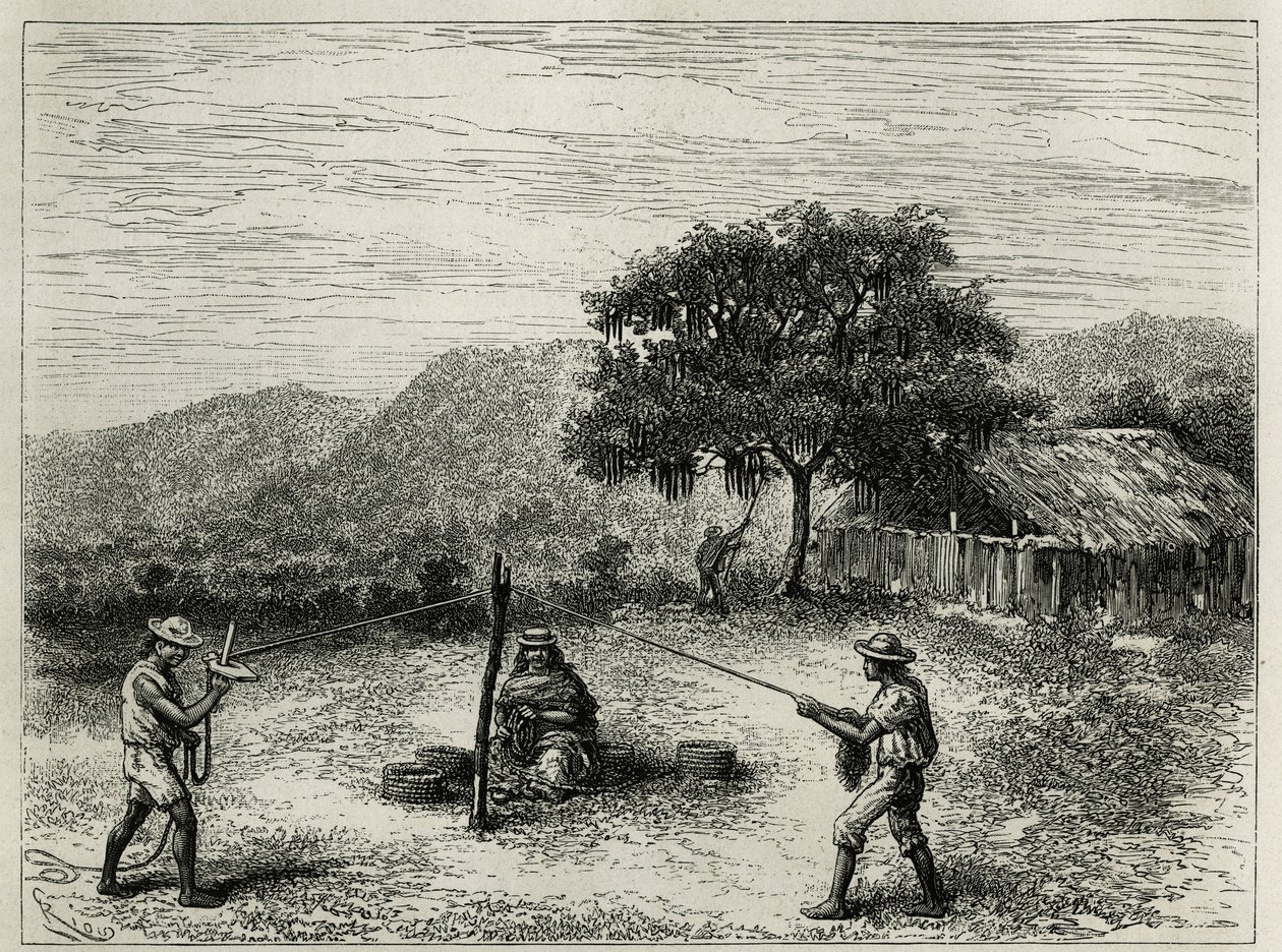 Fremstilling af cabuya, streng af Fourcroya, nær Cartago (Colombia), gravering af Riou, for at illustrere historien om Equinoxiale America af E.Andre, missionsopgave af den franske regering, offentliggjort i tour du monde, under ledelse af E af Edouard Riou
