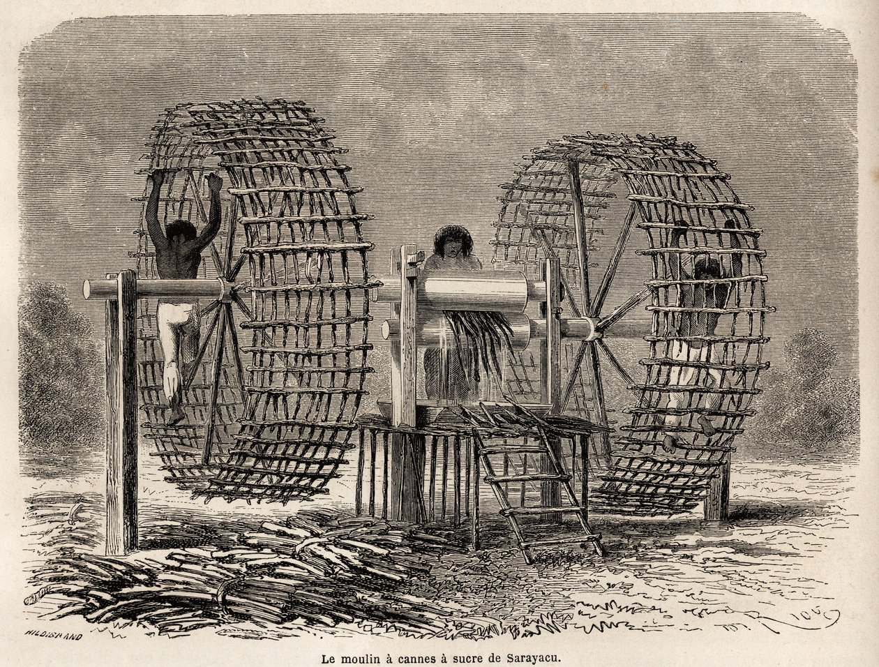 Møllen til at male sukkerrør fra Sarayacu (Peru), tegning af Riou, for at illustrere Paul Marcoys rejse fra Stillehavet til Atlanterhavet fra 1848 til 1860. Indgravering i "" Le tour du monde"", redigeret af Edouard Charton af Edouard Riou