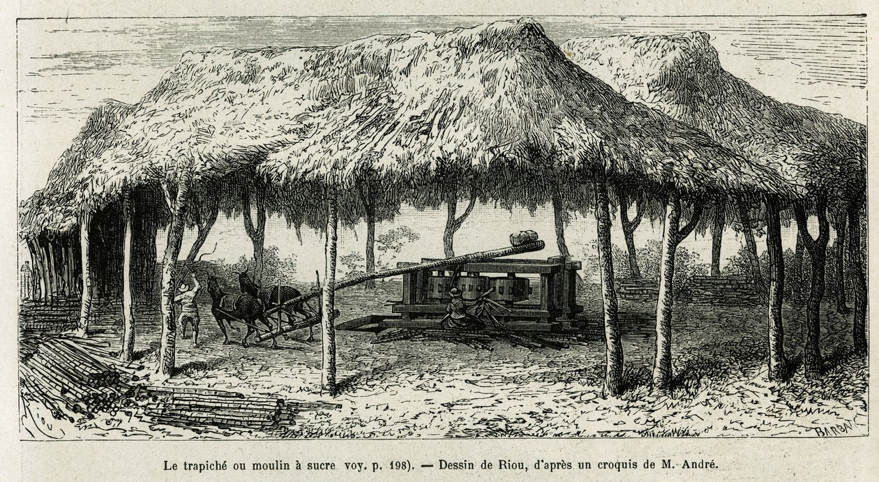 Trapichen eller sukkermøllen til at male stokkene i Panche (Colombia), tegning af Riou, for at illustrere historien om Equinoxiale America (Colombia, Ecuador, Peru), i 1875-1876, af Ed. andre, rejsemissionsafgift fra den franske regering. Indgravering i Le af Edouard Riou