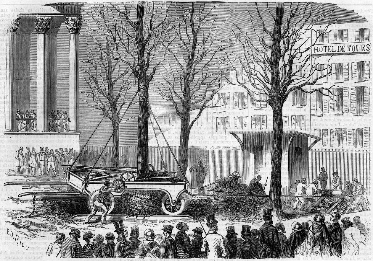 Transplantation af træer på Place de la Bourse i Paris i vinteren 1858. Indgravering af Riou i "" Le Monde Illustré"" nr. 46 af 27. februar 1858. af Edouard Riou