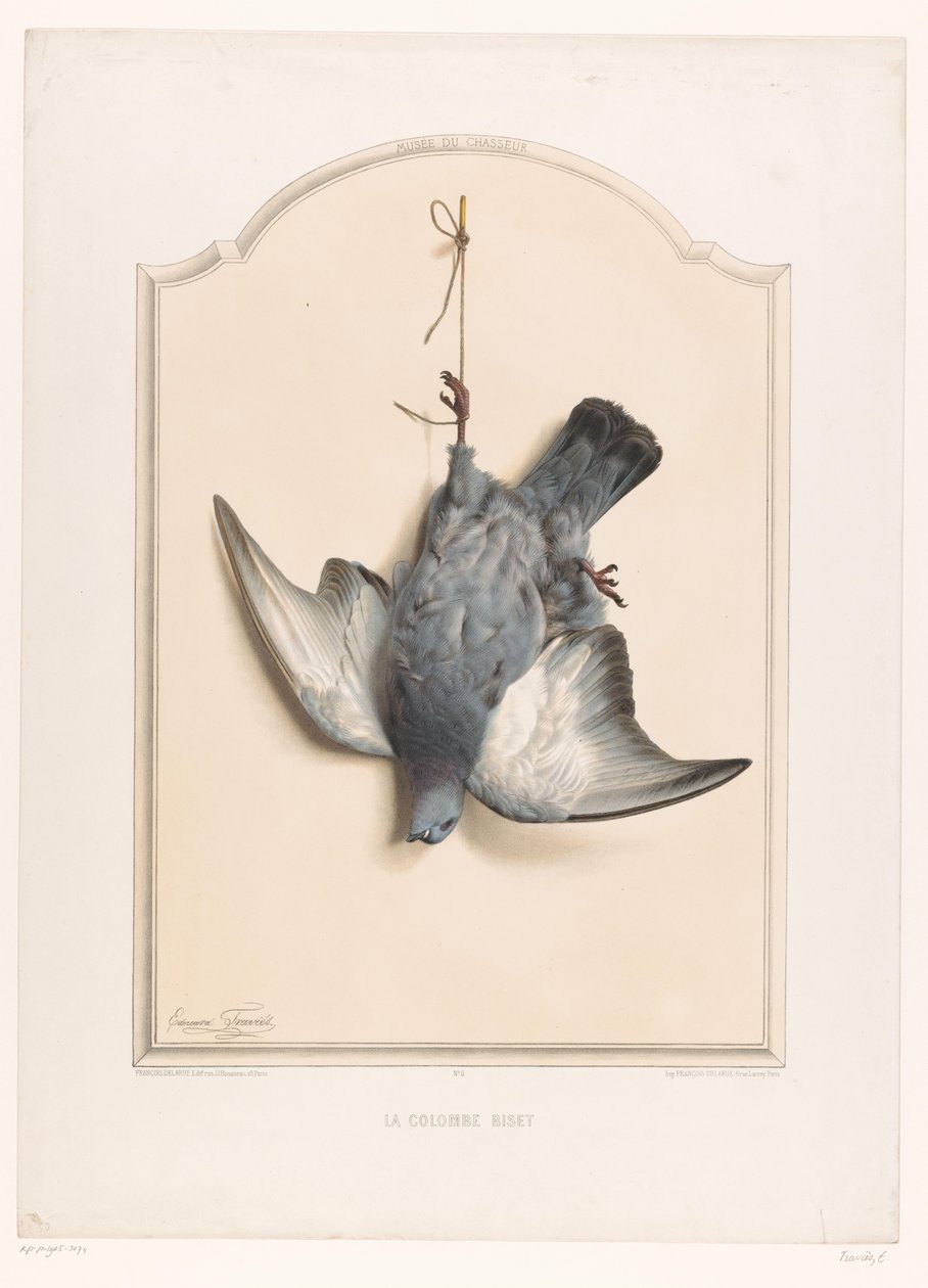 Død stendue hængende på det ene ben La colombe biset (titel på objekt) Jægerens museum (serietitel) Musée du chasseur (serietitel på objekt) af Edouard Travies