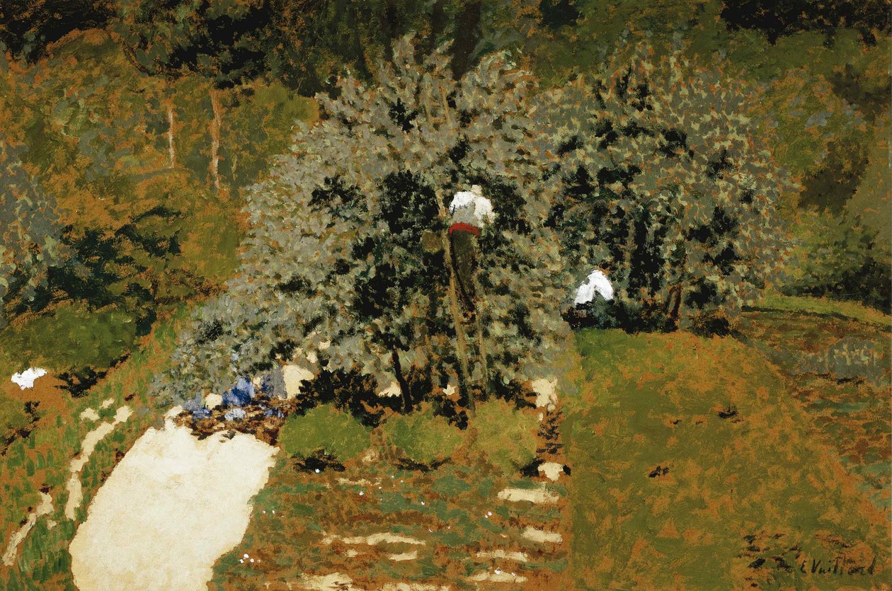 Plukning, 1899-1900. af Edouard Vuillard