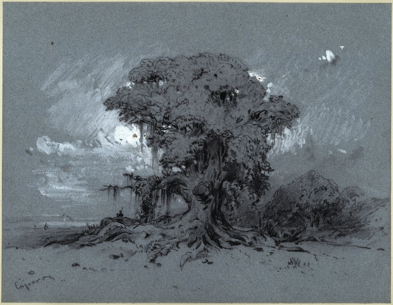 Gammelt træ af Eduard Hildebrandt