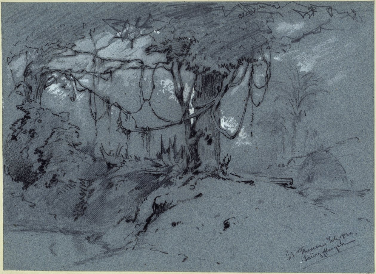 Træ med slyngplanter af Eduard Hildebrandt