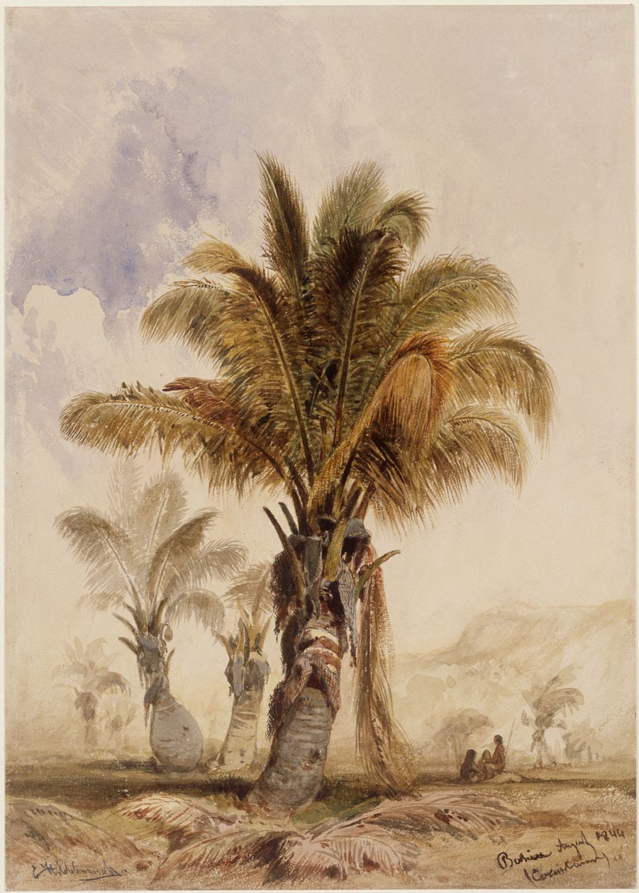 Kokospalmer i Bahia af Eduard Hildebrandt