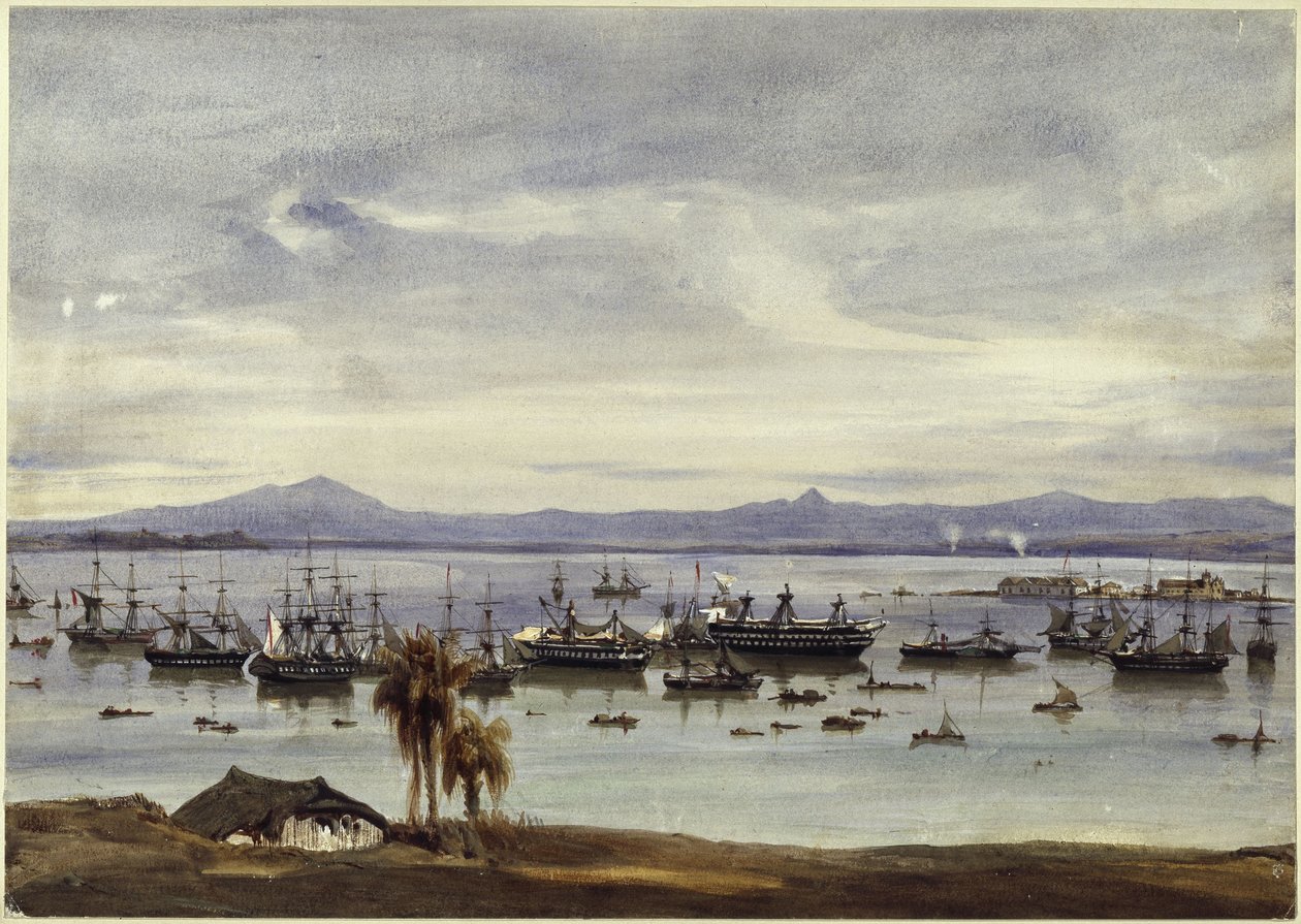 Udsigt over Rio de Janeiro af Eduard Hildebrandt