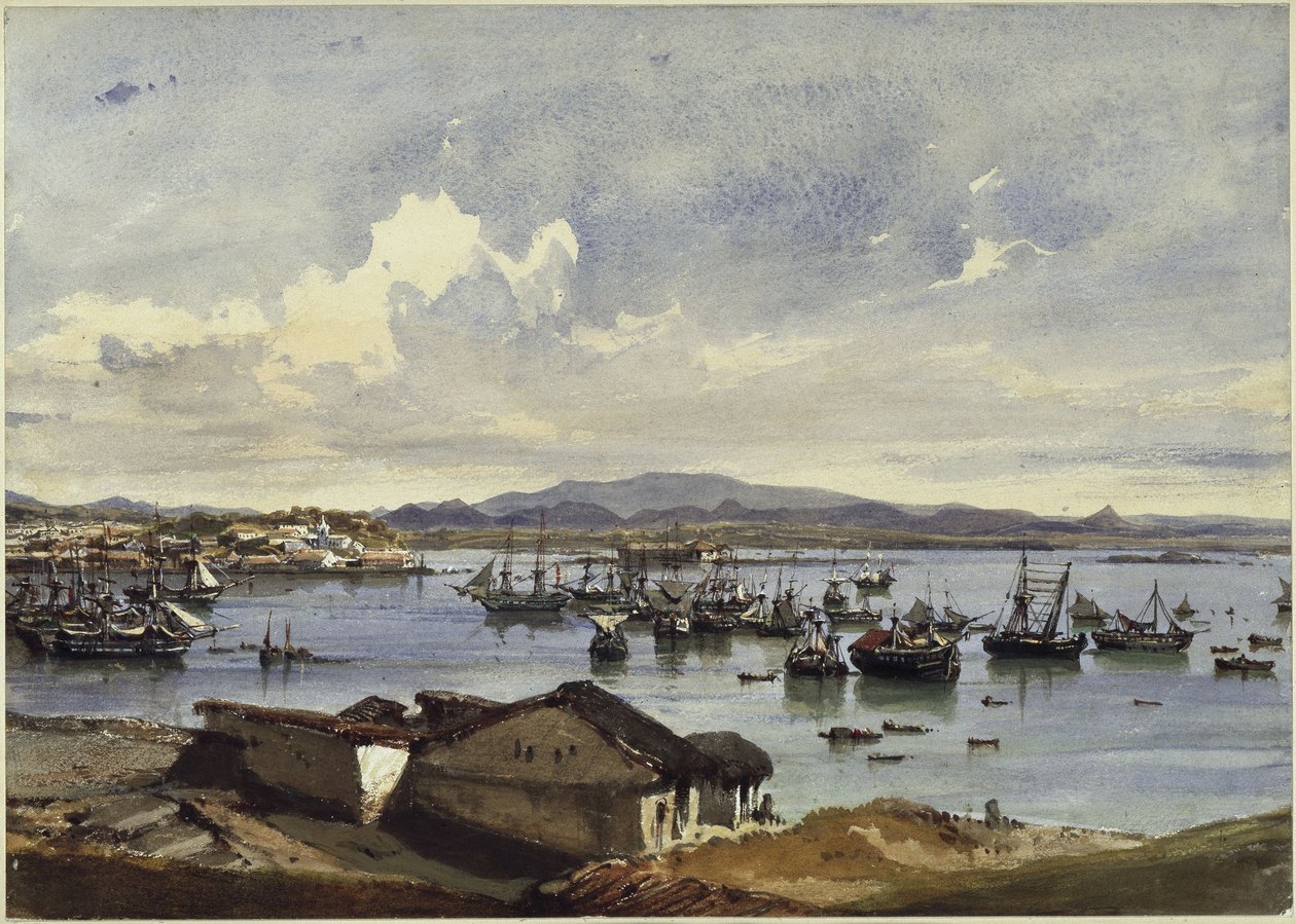 Udsigt over Rio de Janeiro af Eduard Hildebrandt