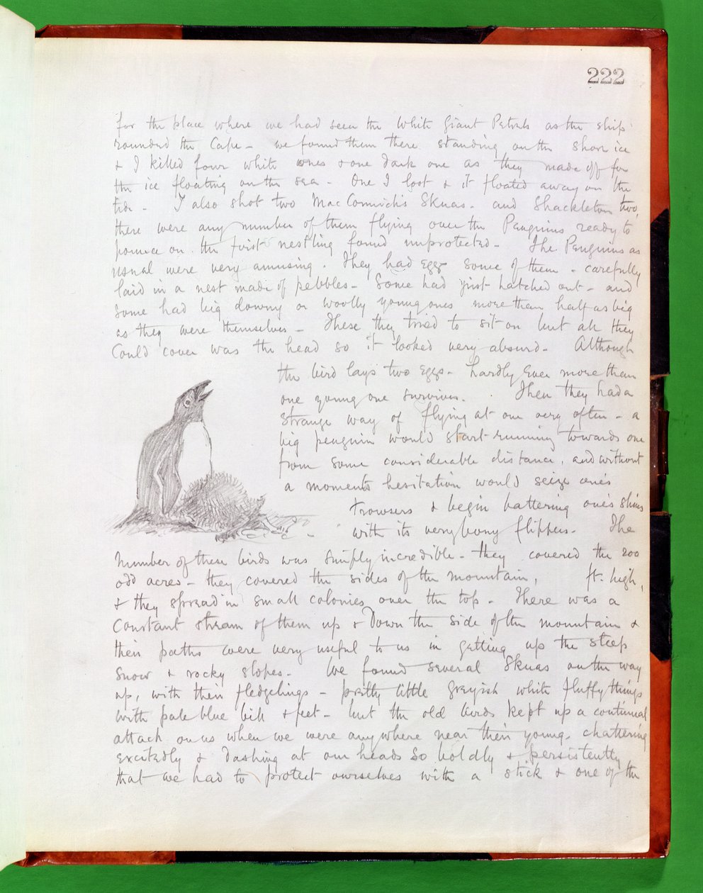 Dagbogsnotat for 9. januar 1902 af Edward Adrian Wilson