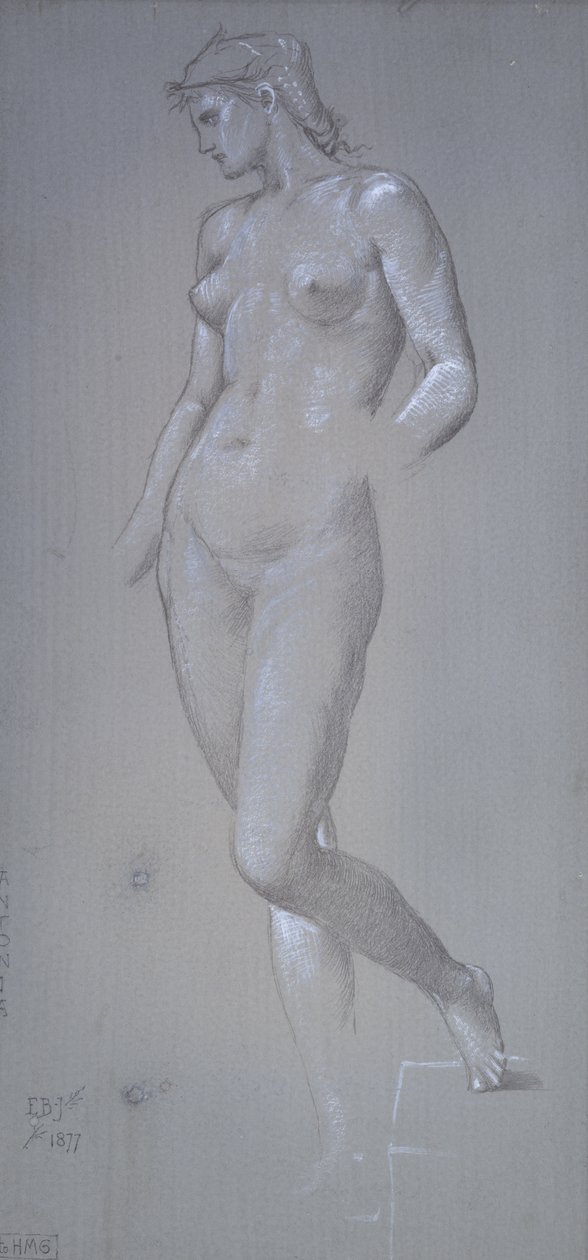 Antonia, 1877 (Sølvstift og farve på grå præpareret grund) af Edward Burne Jones