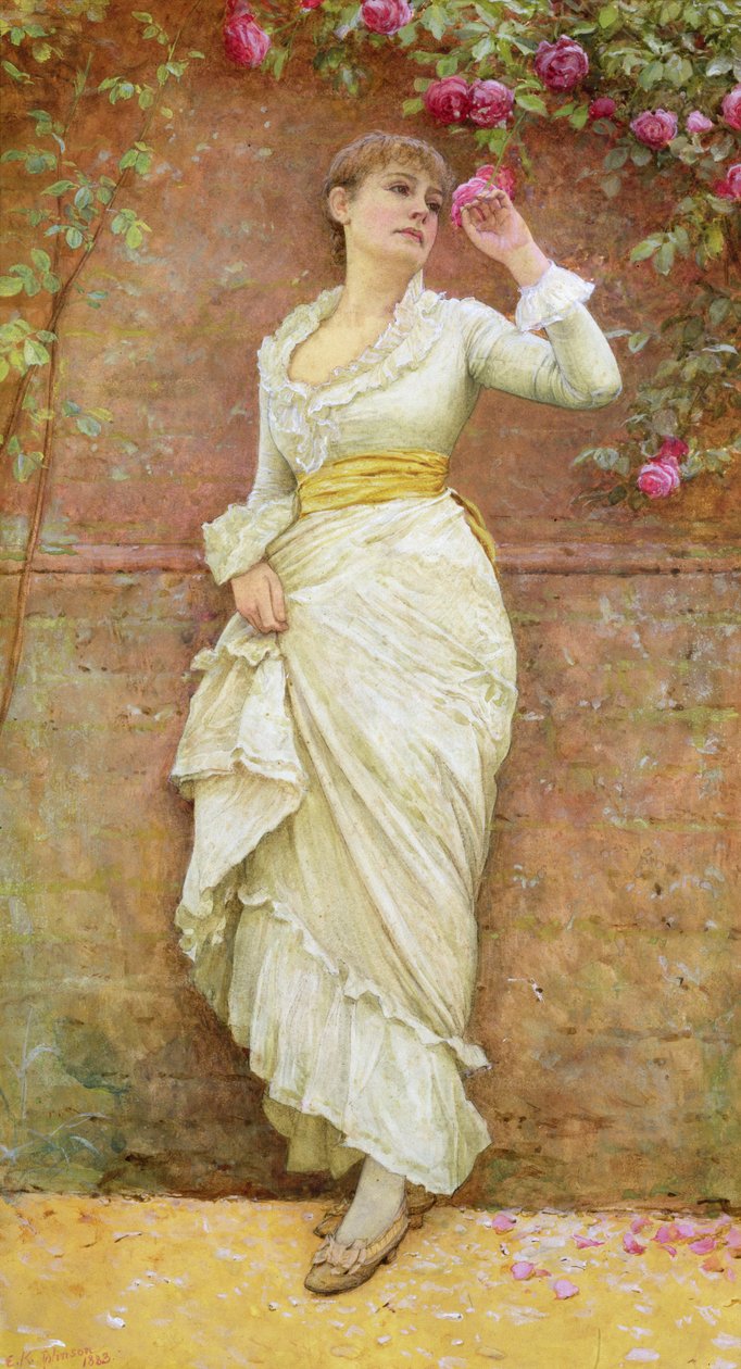 Rosen af Edward Killingworth Johnson