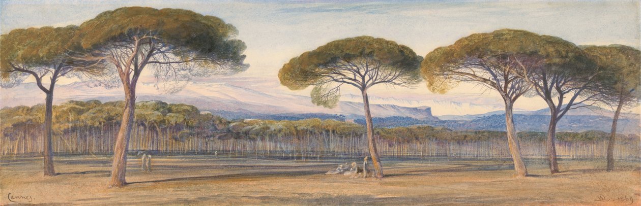 En udsigt over fyrretræerne over Cannes af Edward Lear