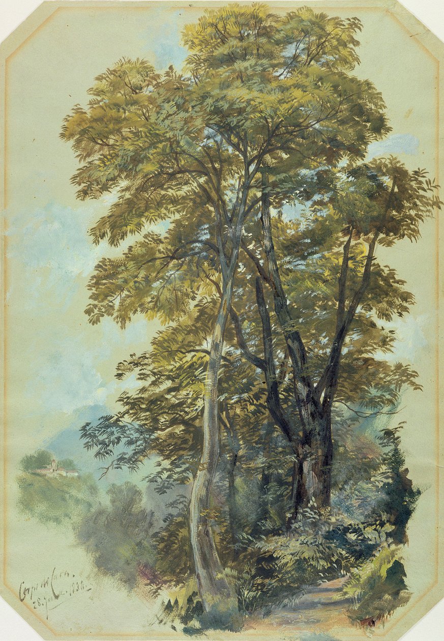 Edward Lear, Corpo di Cava, 28. juni, 1838 (olie på gråt vævet papir) af Edward Lear