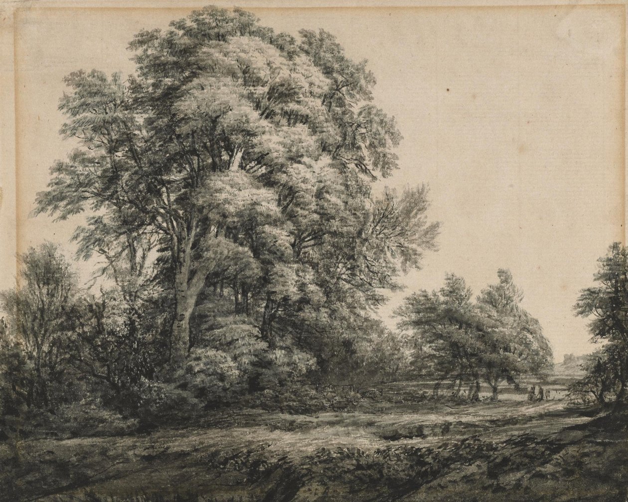 Skovlandskab af Edward Lear