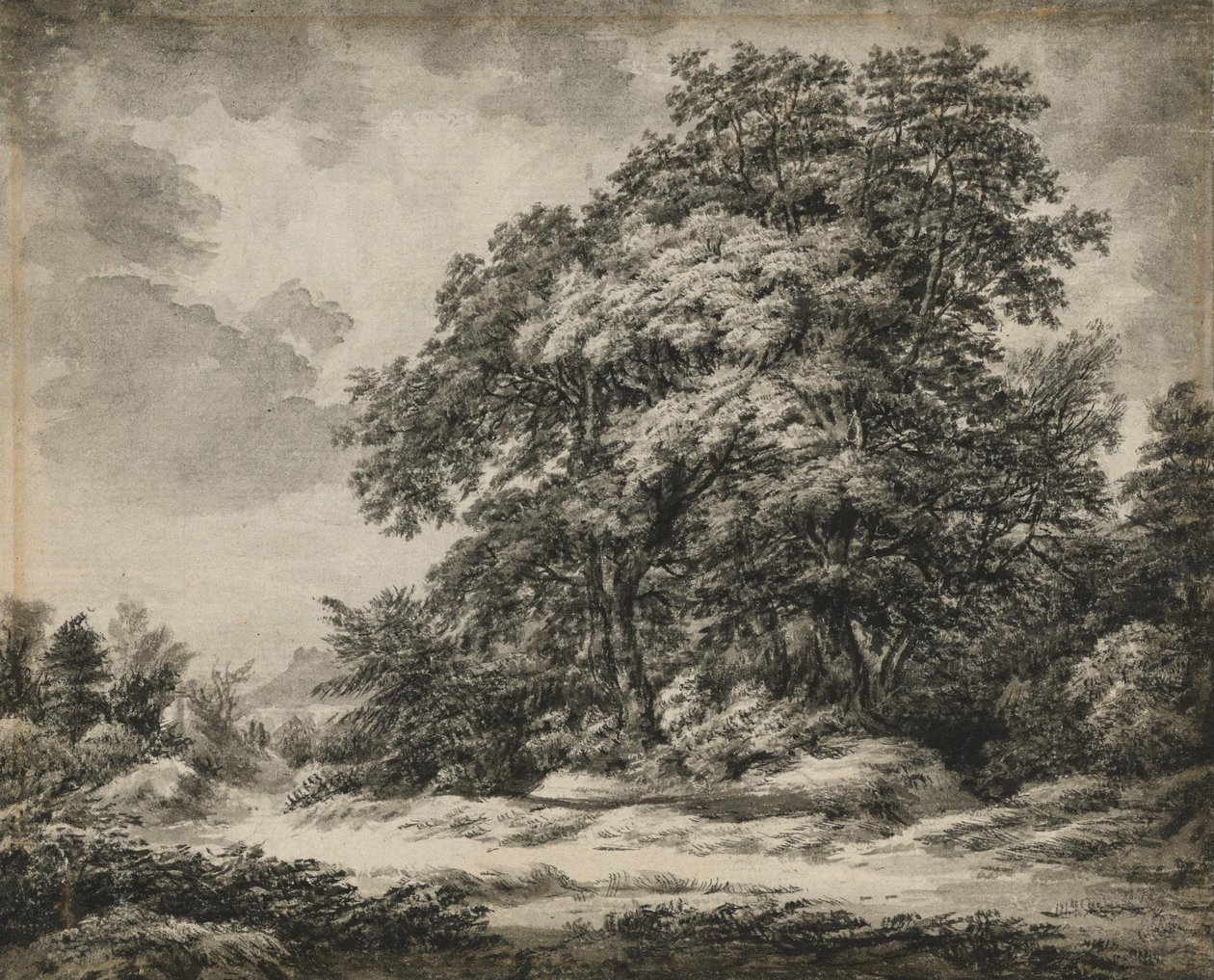 Skovlandskab af Edward Lear