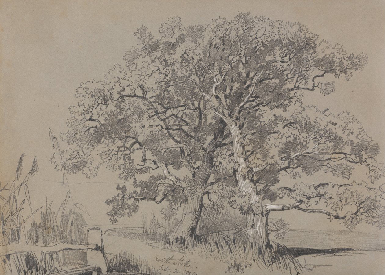 North Stoke. 21. oktober 1834. af Edward Lear