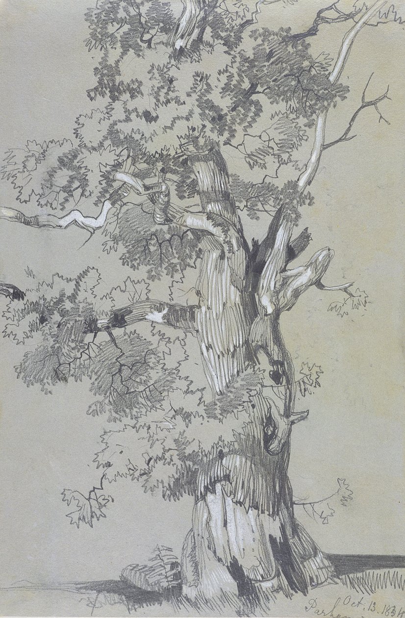 Parham, 13. oktober 1834 (grafit med hvid gouache på brunt vævet papir) af Edward Lear