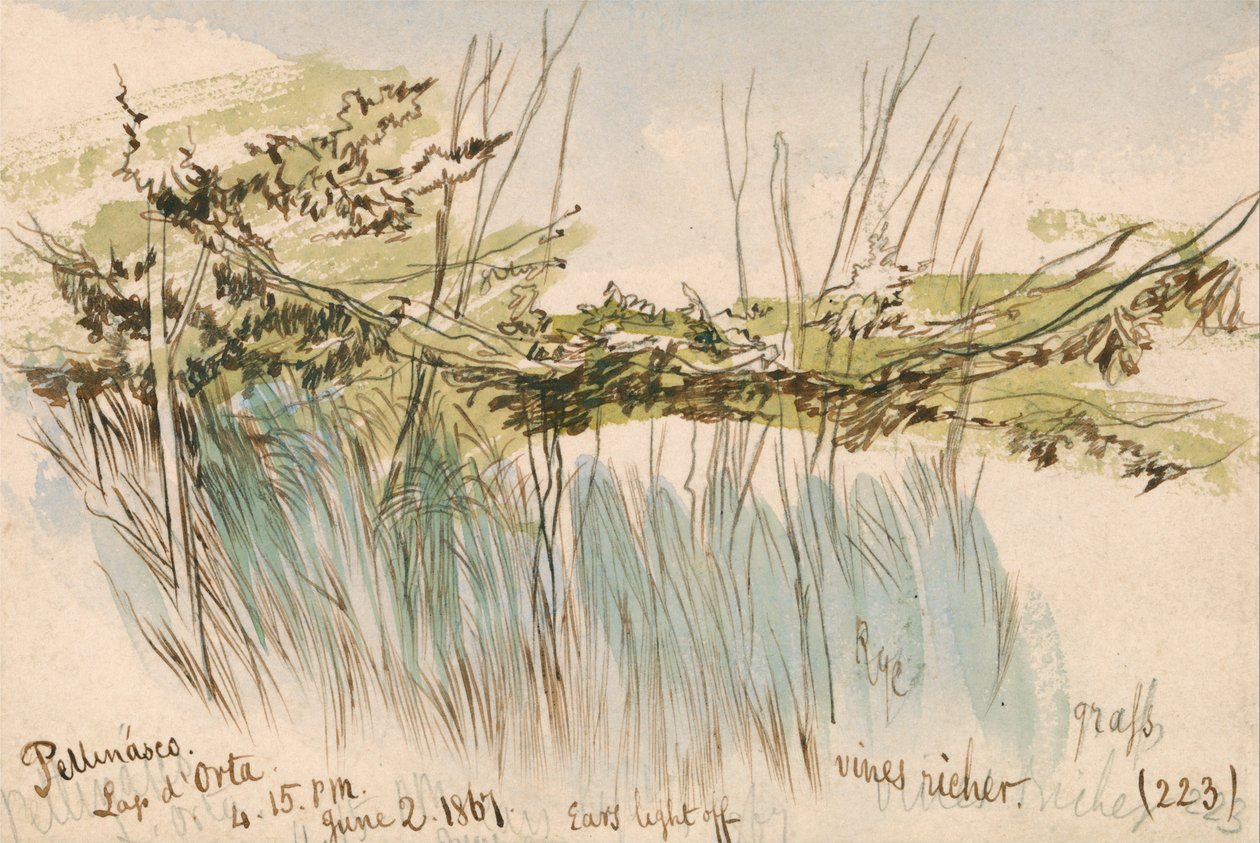 Pettenasco, Lago dOrta af Edward Lear