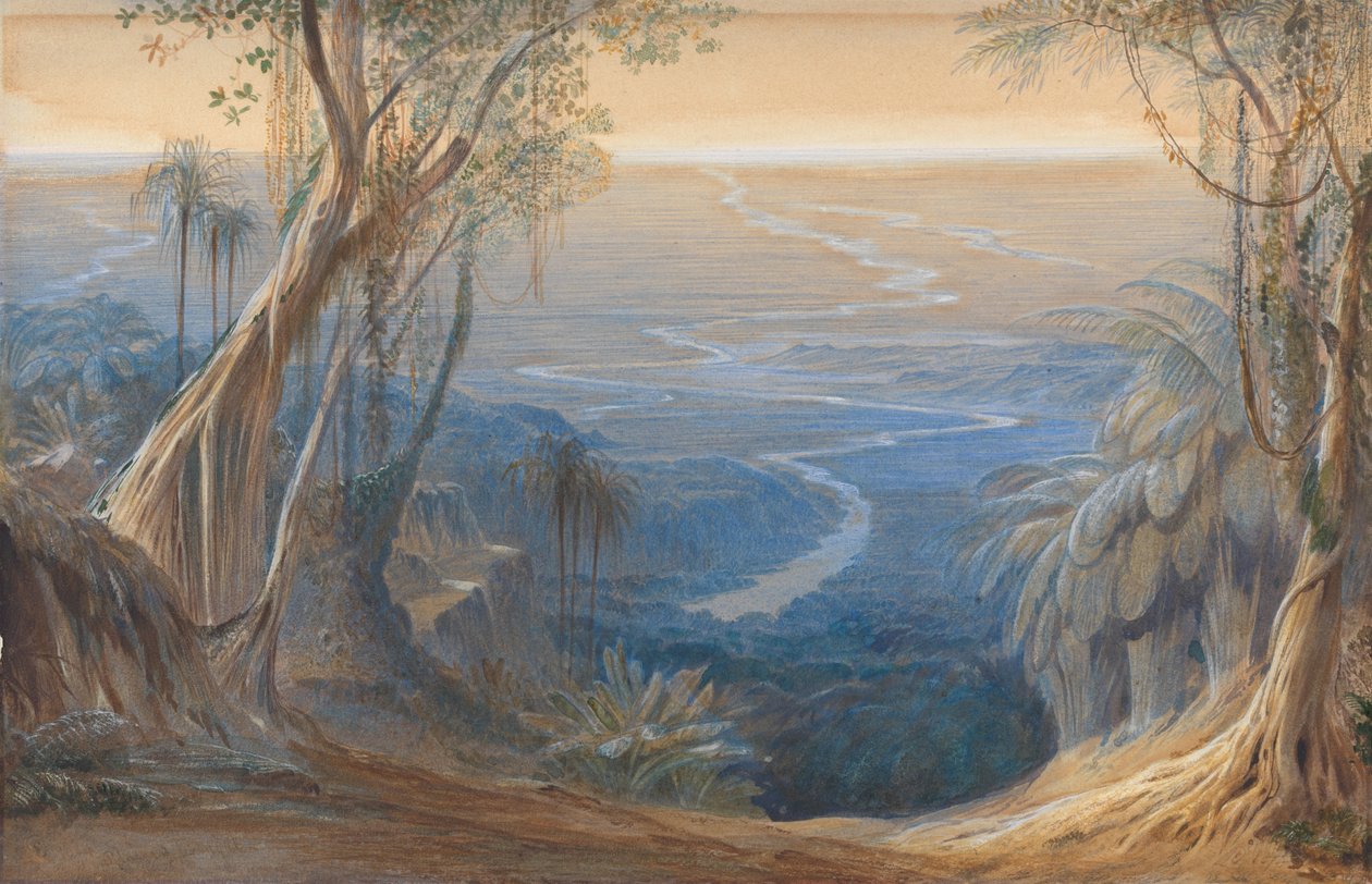 Bengalsletter, ovenfra Siligoree af Edward Lear