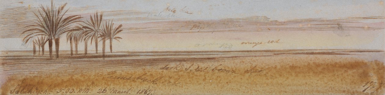 Salahiyeh af Edward Lear