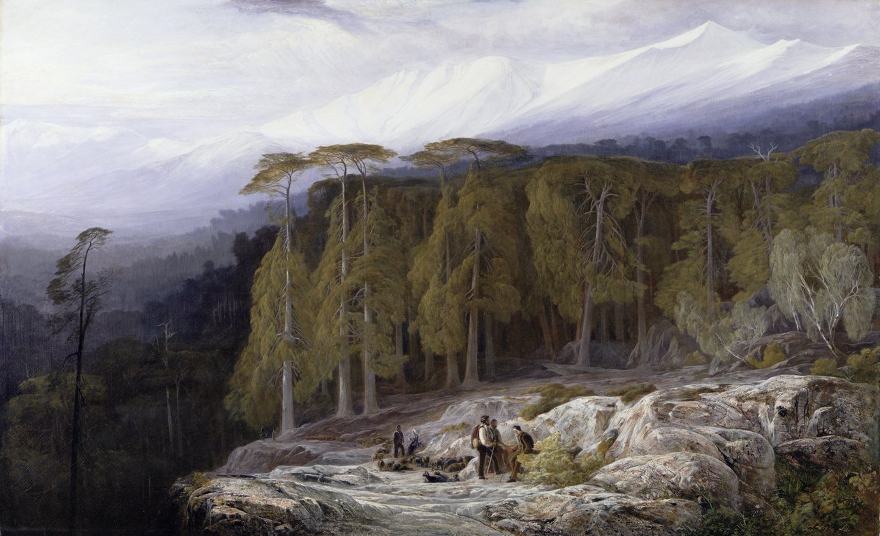 Valdoniello-skoven, Korsika, 1869 af Edward Lear