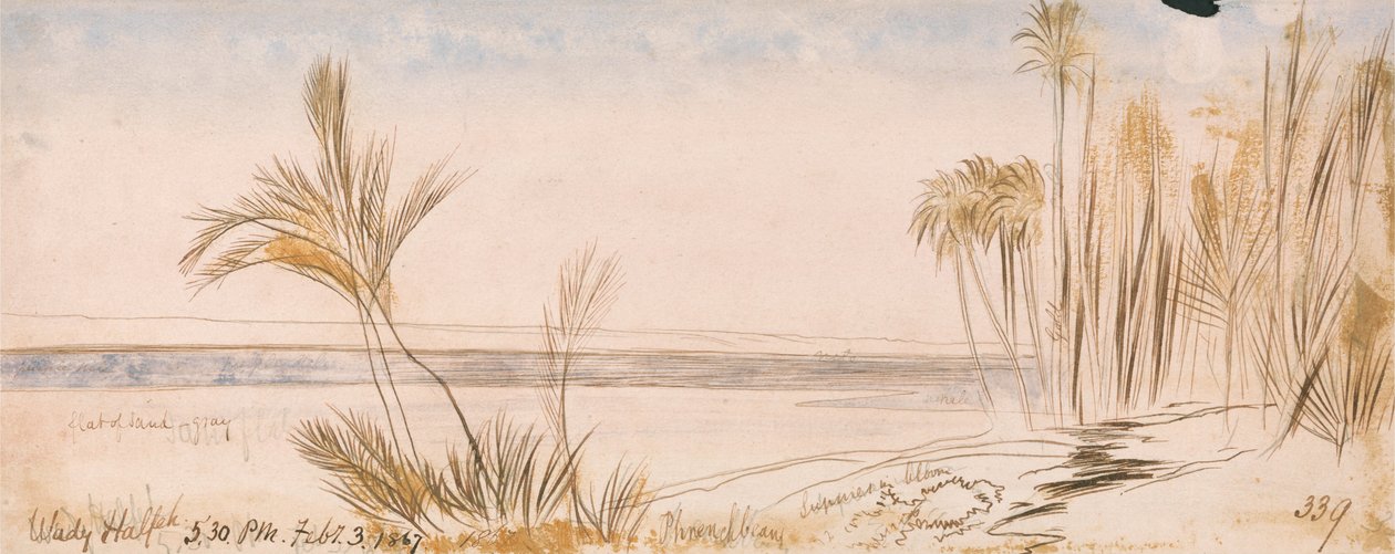 Halfeh ulemper af Edward Lear