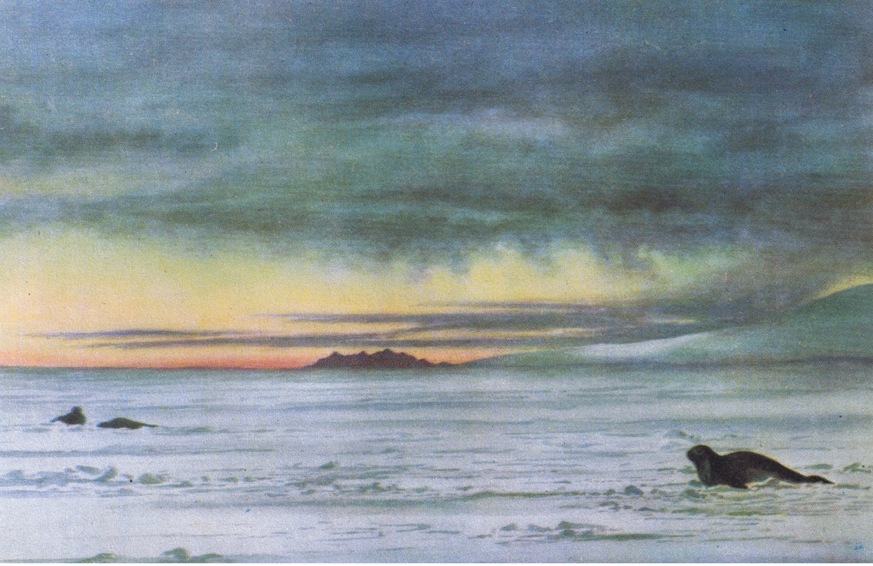 Looking north in McMurdo Sound, fra British Adventure udgivet af Collins, 1947 af Edward Adrian Wilson