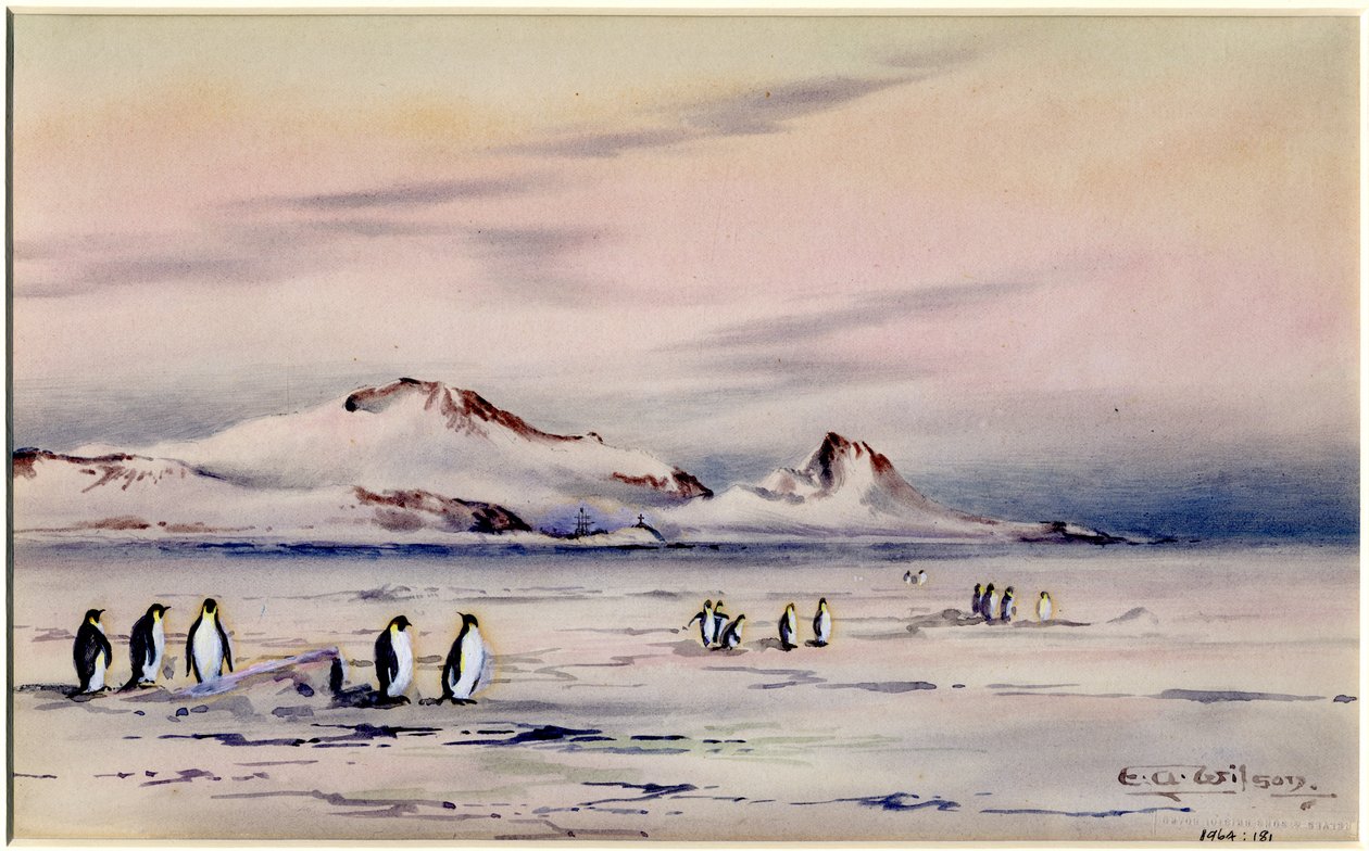 The Discovery Winter Quarters, ca. 1901-04 (wc på papir) af Edward Adrian Wilson