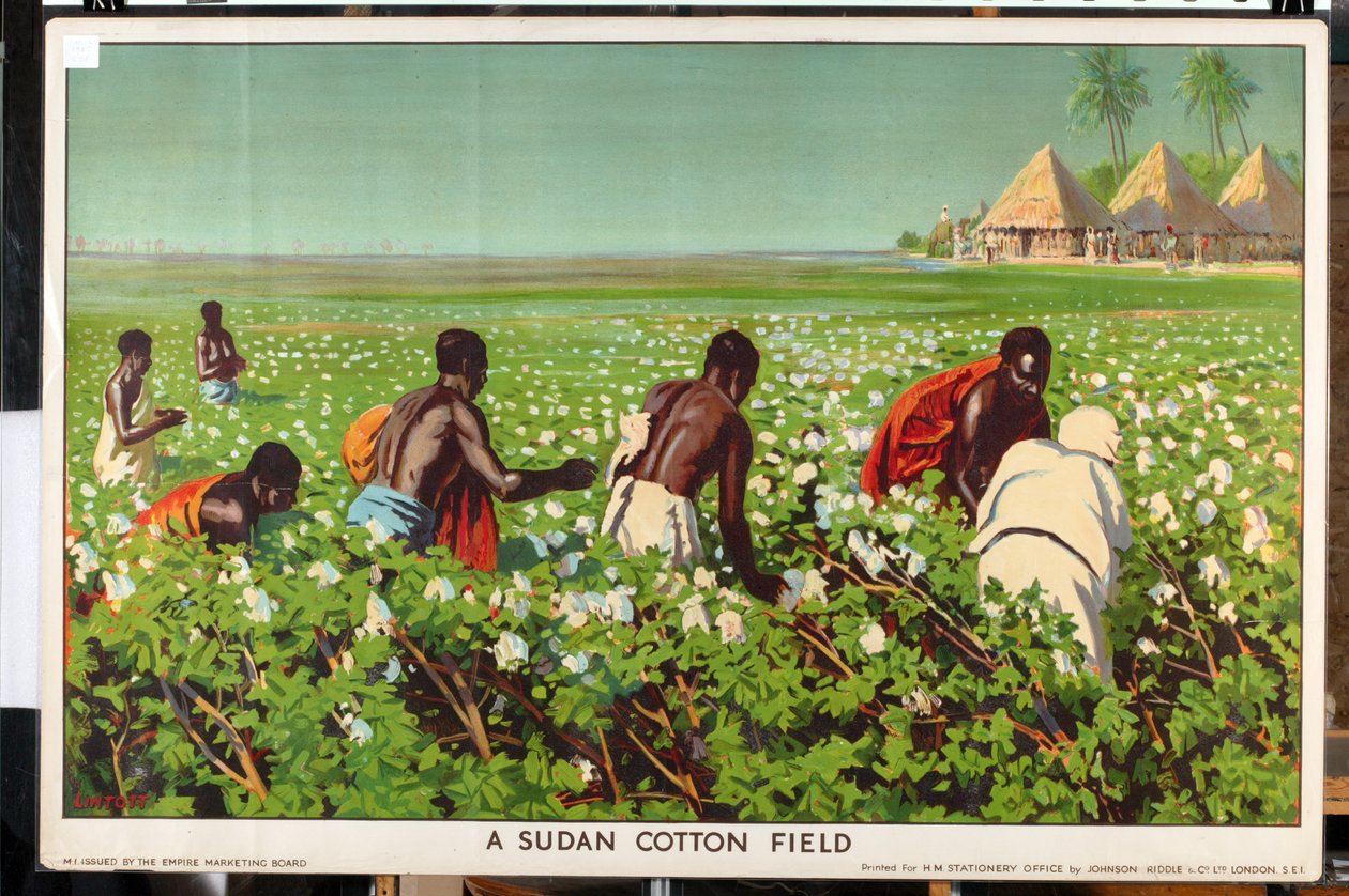A Sudan Cotton Field, fra serien 