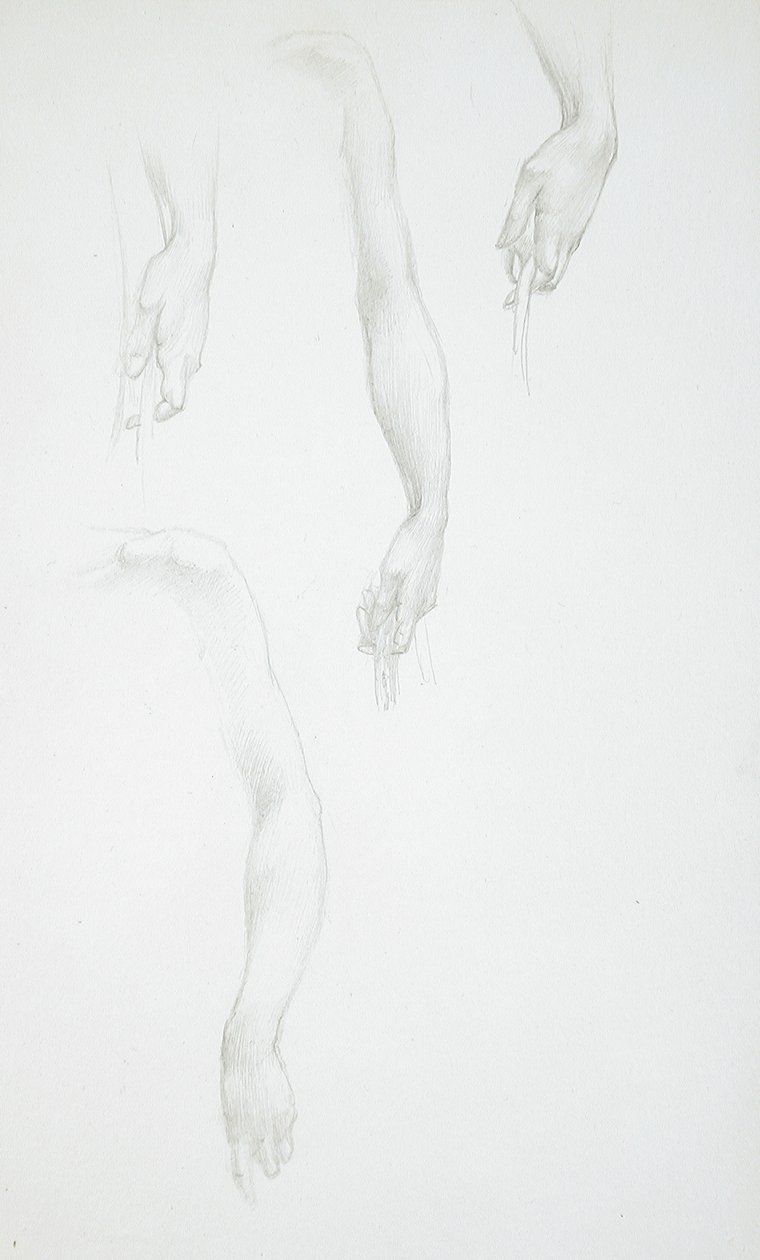 Studier af arme og hænder (forsiden); Studie af en kvindelig torso (bagsiden) af Edward Burne-Jones