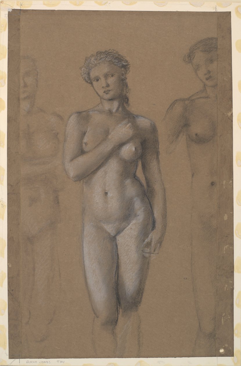 Kvinde nøgen - Tre studier, muligvis for Venus af Edward Burne Jones