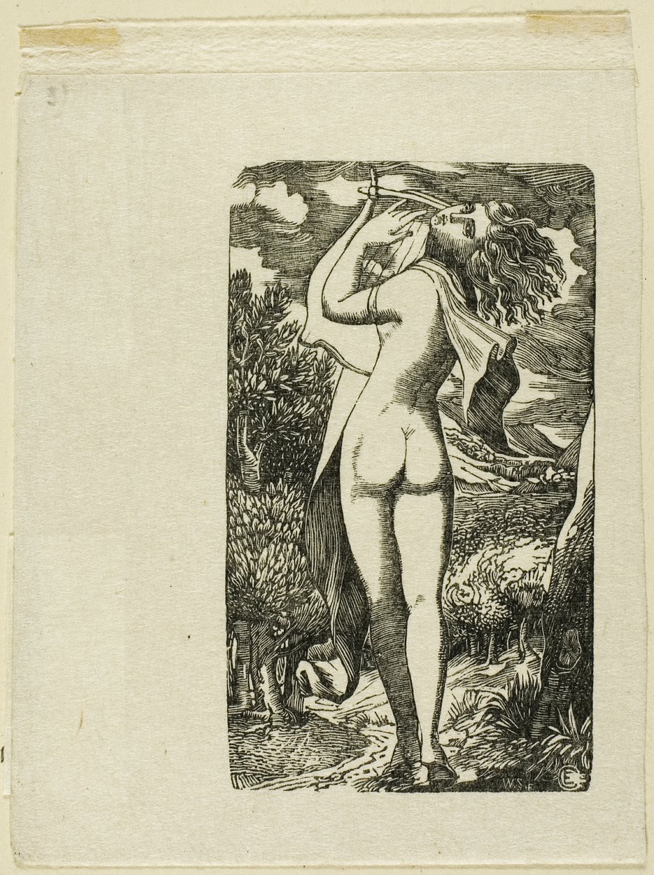 Bachchanati af Edward Calvert